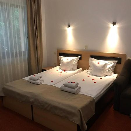Hotel FLORA ALPINA Azuga Kültér fotó