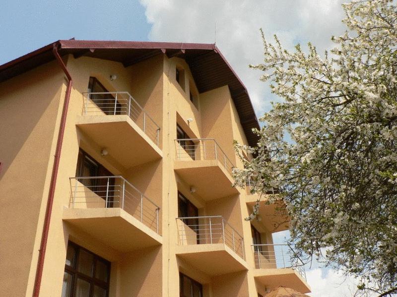 Hotel FLORA ALPINA Azuga Kültér fotó