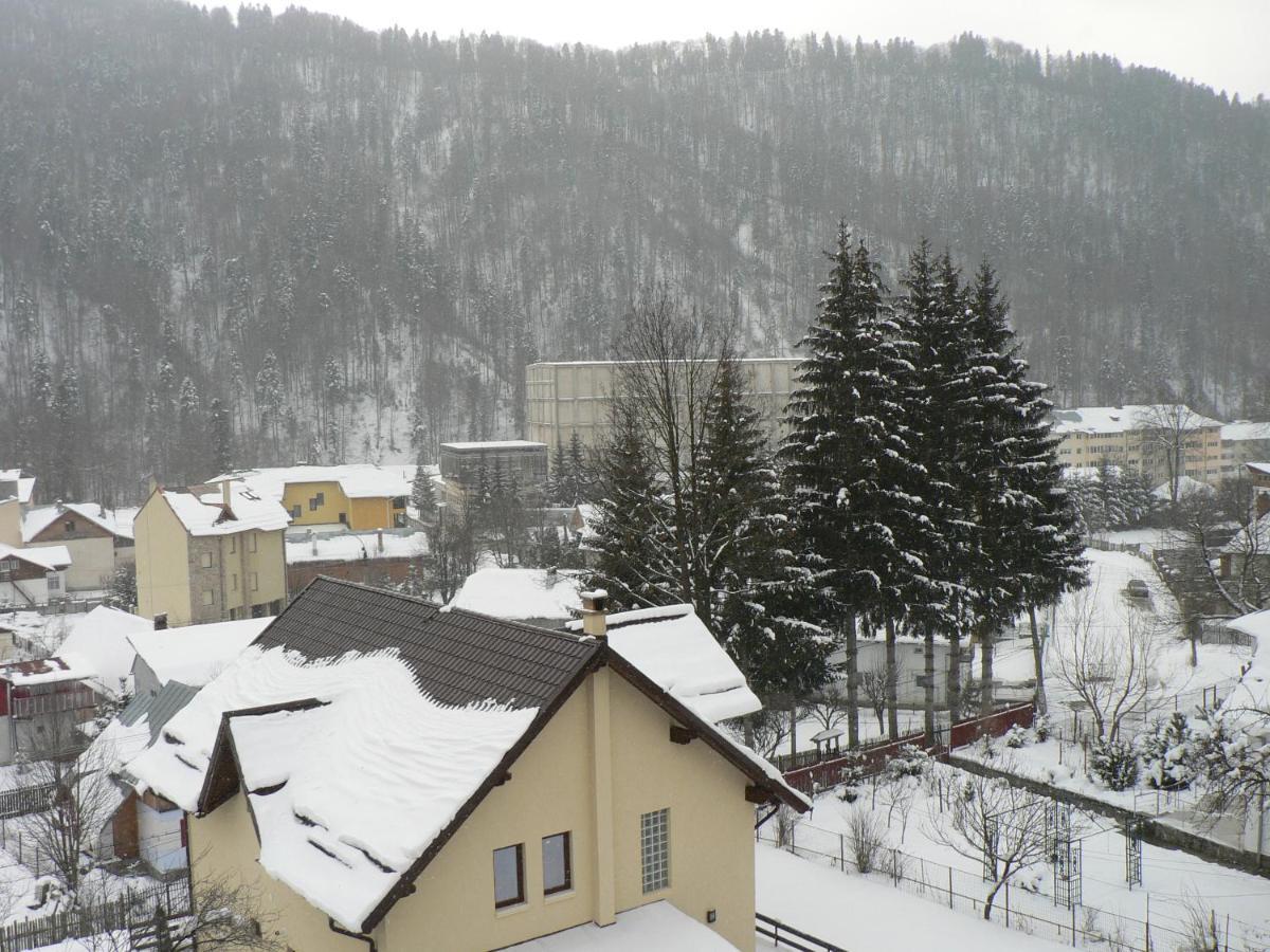 Hotel FLORA ALPINA Azuga Kültér fotó