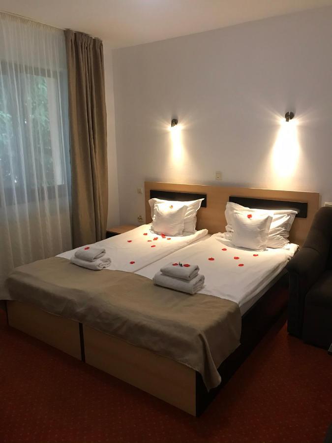 Hotel FLORA ALPINA Azuga Kültér fotó