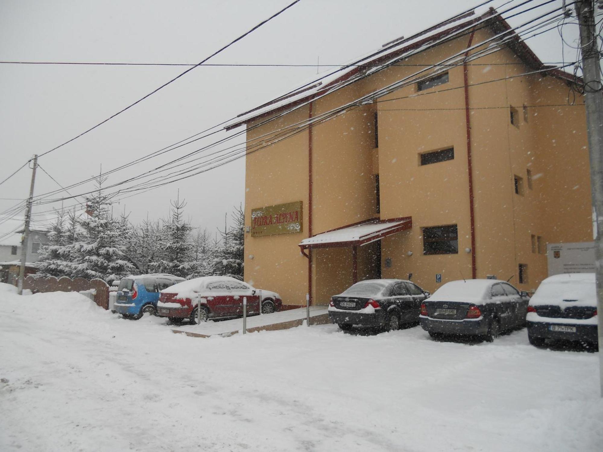 Hotel FLORA ALPINA Azuga Kültér fotó